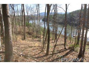 2 NORTH Pkwy Mill Spring, Unit 2 Mill Spring, NC 28756 - Photo 10 of 10