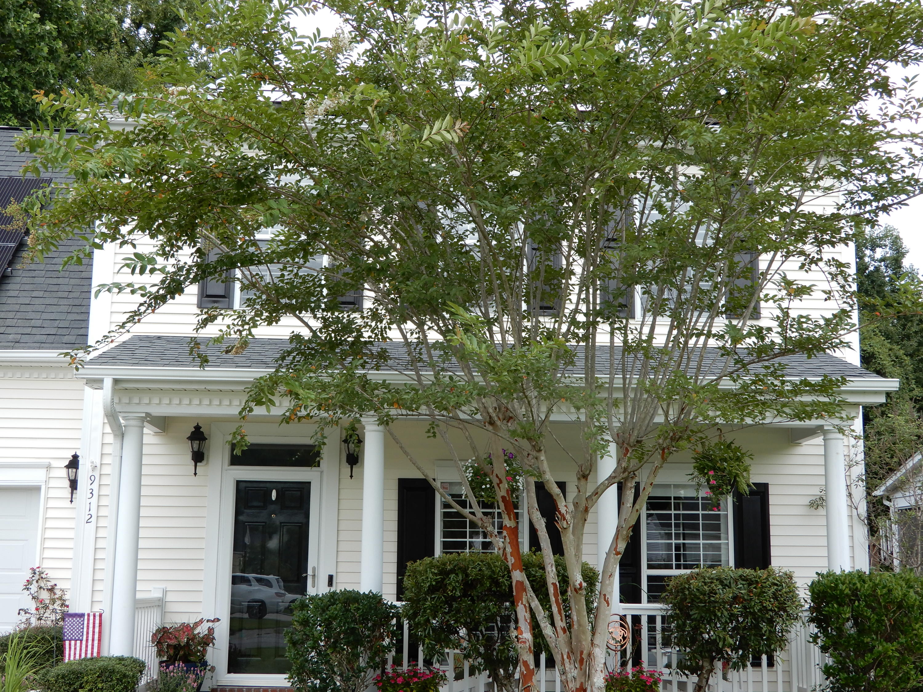 9312 Harroway Road Summerville, SC 29485 - Photo 6 of 50 DSCN3536 - Copy - Copy - Copy
