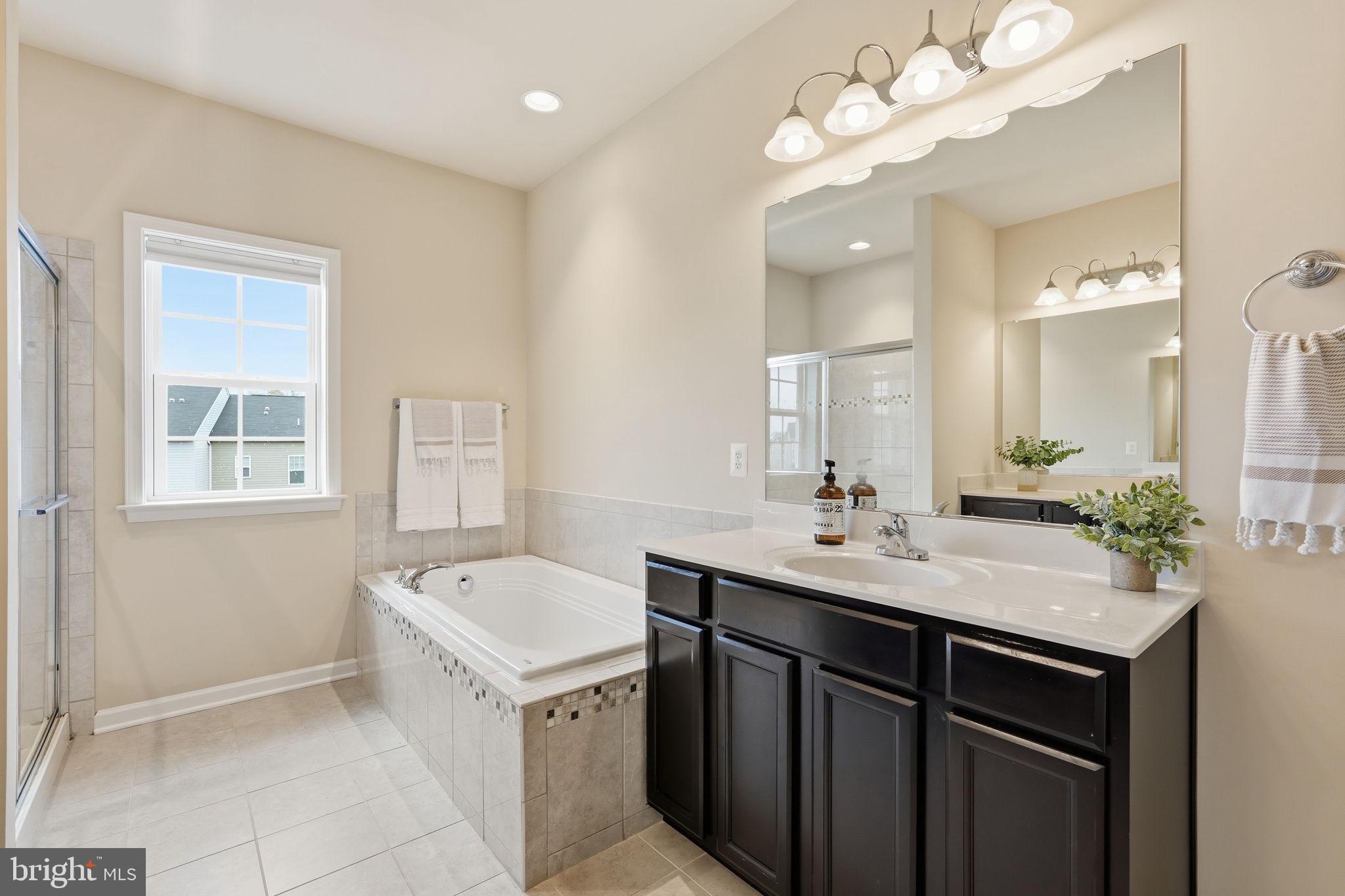 204 Miles Hawk Terrace Purcellville, VA 20132 - Photo 25 of 40 a bathroom with a sink vanity tub and a mirror