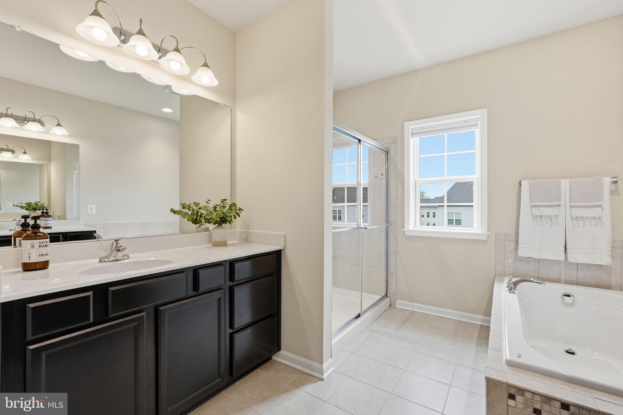 204 Miles Hawk Terrace Purcellville, VA 20132 - Photo 26 of 40 a bathroom with a tub a sink and mirror