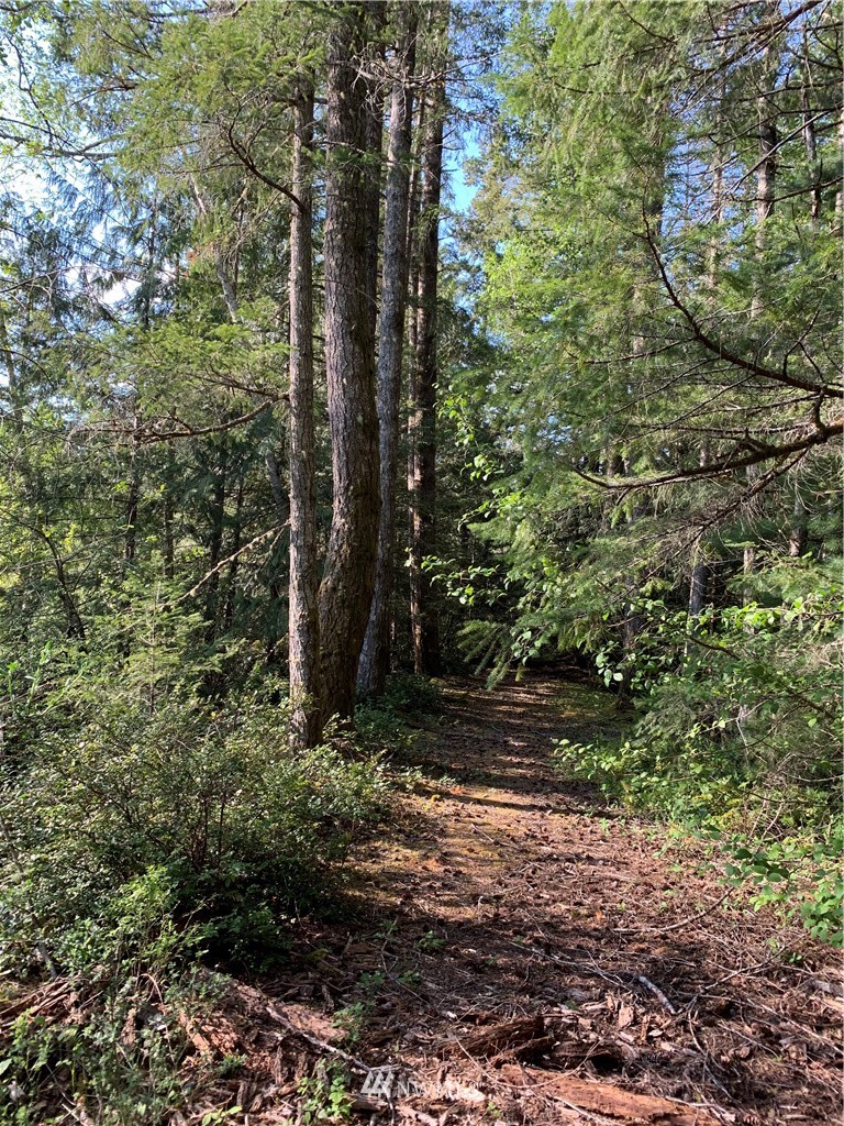 448 Lewis Road West Seabeck, WA 98380 - Photo 1 of 18 Gallery Image 1