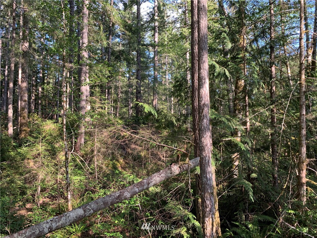 448 Lewis Road West Seabeck, WA 98380 - Photo 13 of 18 Gallery Image 13