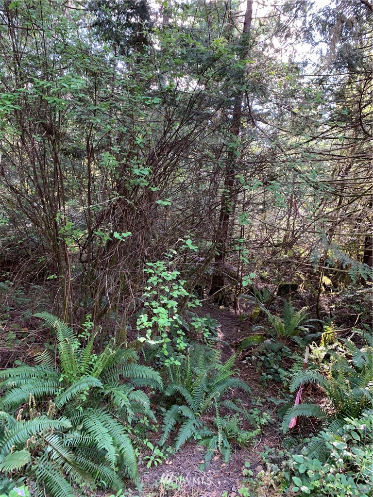 448 Lewis Road West Seabeck, WA 98380 - Photo 18 of 18 Gallery Image 18