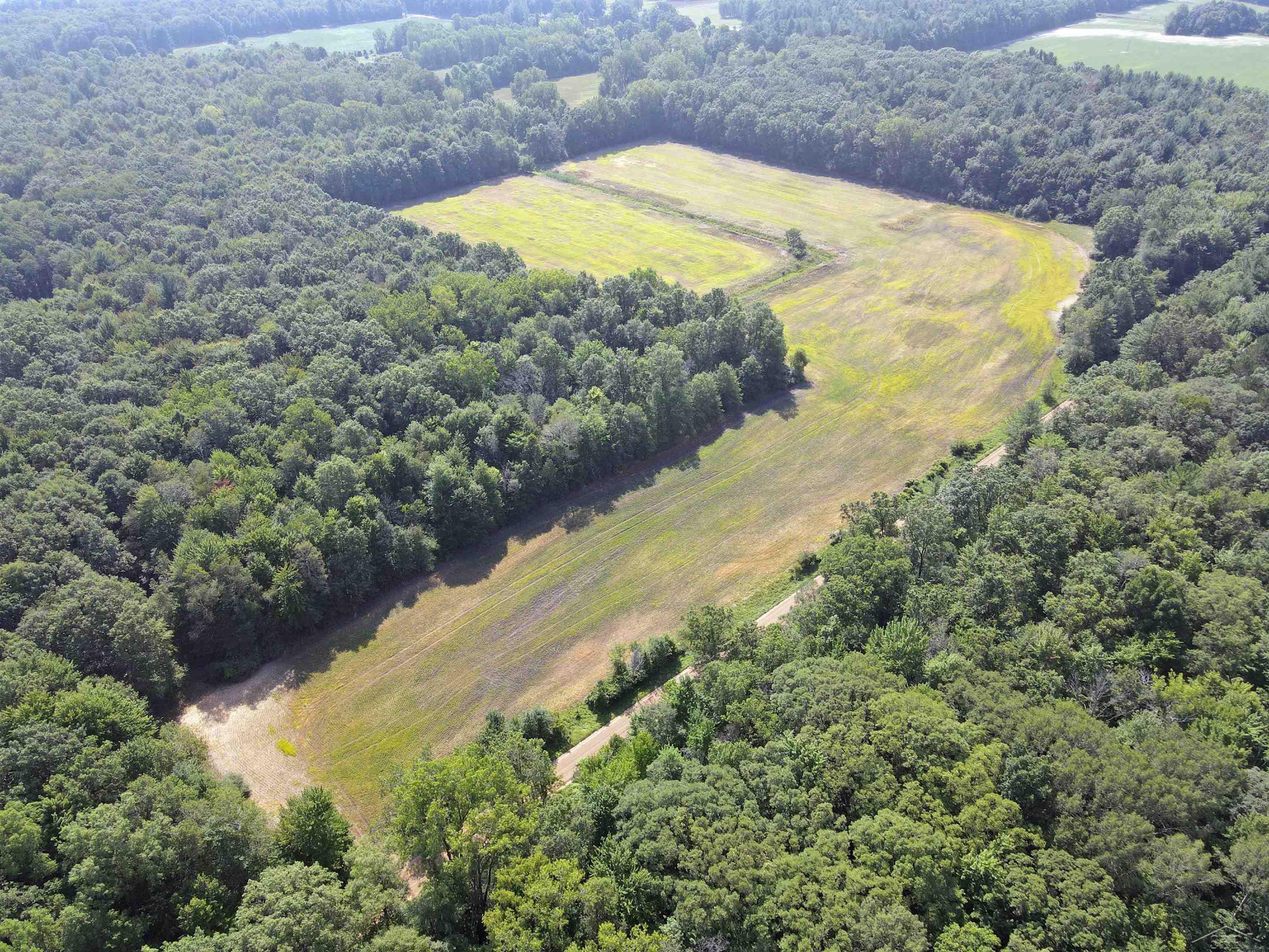 22000 West Burt Road Brant, MI 48614 - Photo 9 of 24