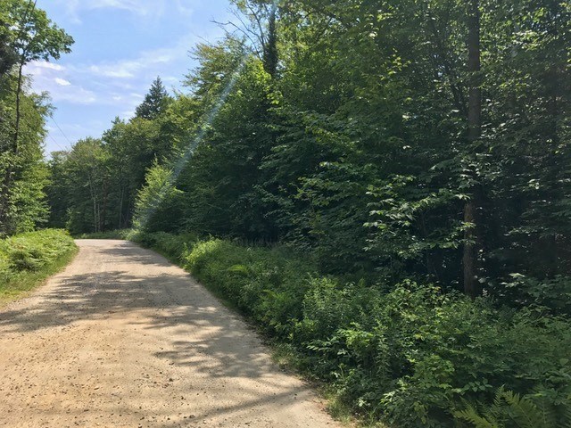 0 Cross Road, Unit 10 Rumney, NH 03266 - Photo 2 of 4 Gallery Image 2