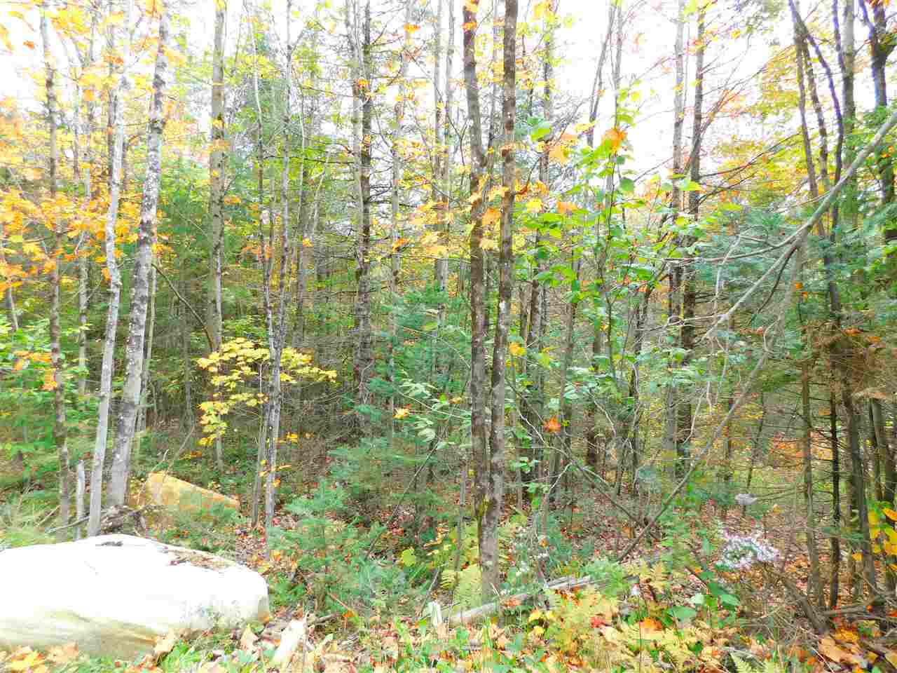 153 French Hollow Road Winhall, VT 05340 - Photo 1 of 3