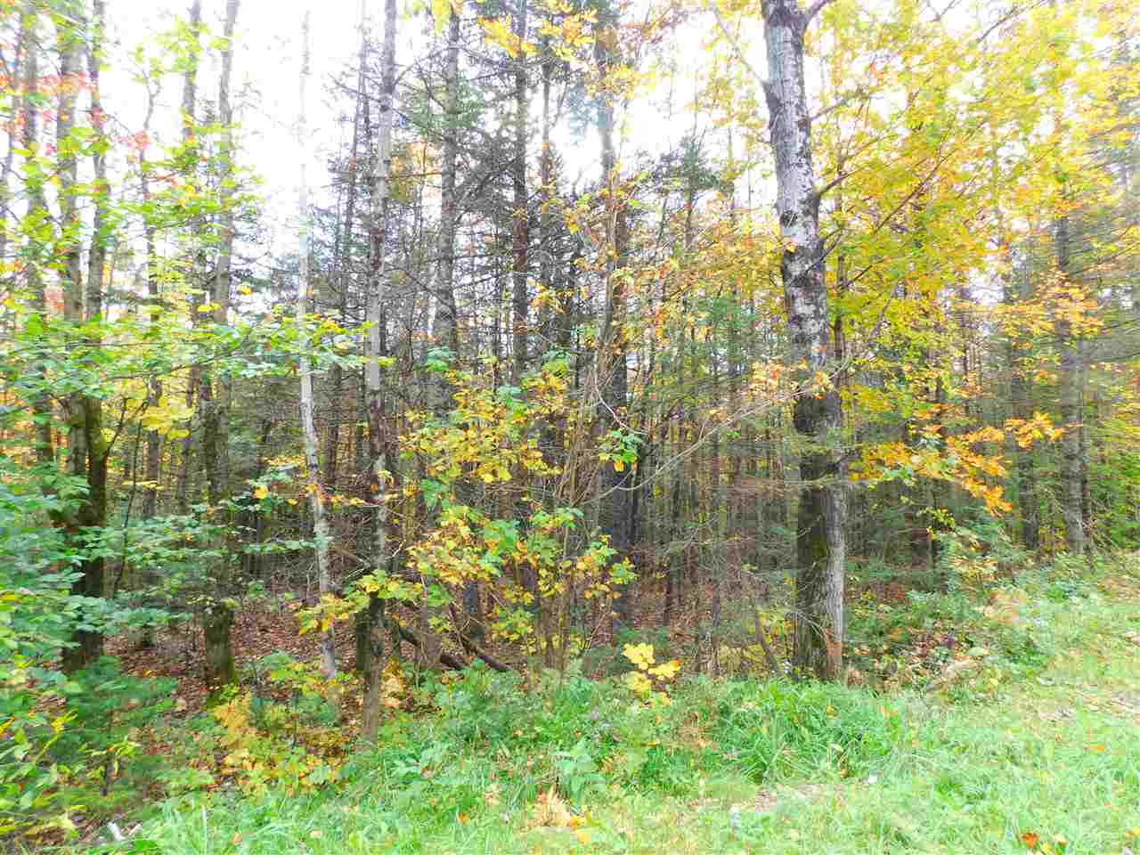 153 French Hollow Road Winhall, VT 05340 - Photo 2 of 3