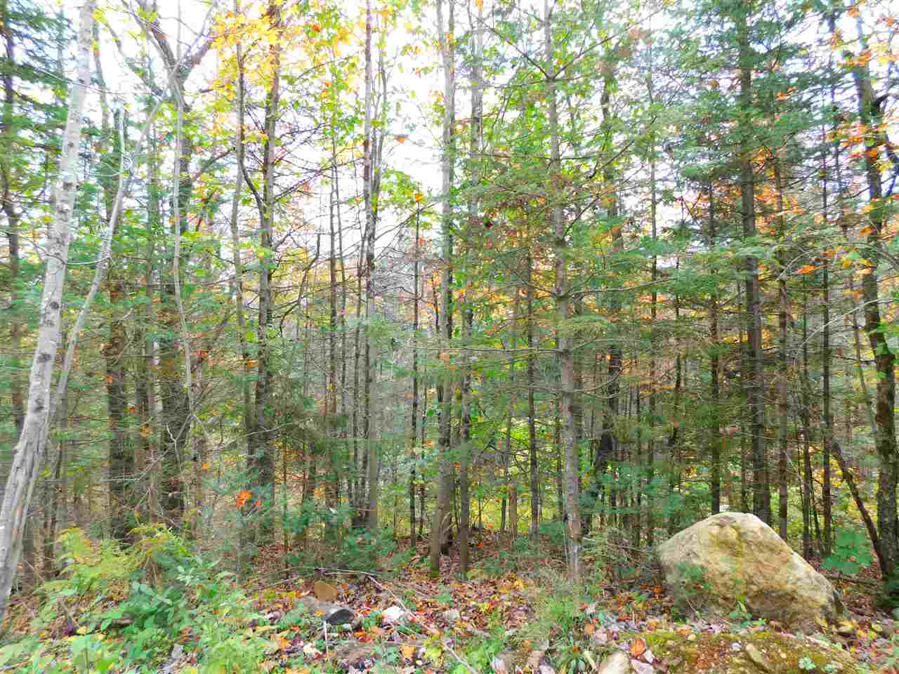 153 French Hollow Road Winhall, VT 05340 - Photo 3 of 3