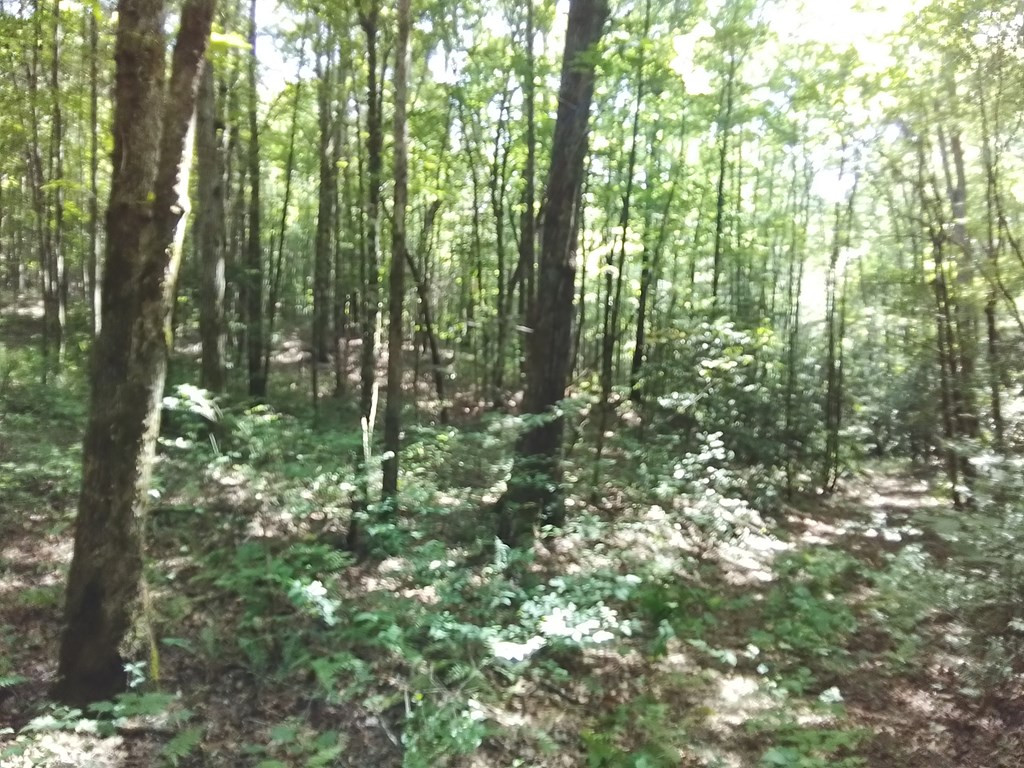1378 S Morrow Road Murphy, NC 28906 - Photo 16 of 27
