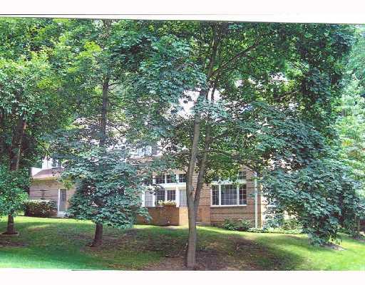 717 Chestnut Road Edgeworth, PA 15143 - Photo 2 of 8 Patio/Deck. Mature trees and wooded view add to the enjoyment of the rear patio. It is accessed from the family room or kitchen