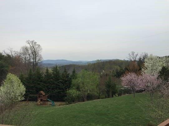 1230 Longview Road Roanoke, VA 24018 - Photo 43 of 51 51 Views Incredible!