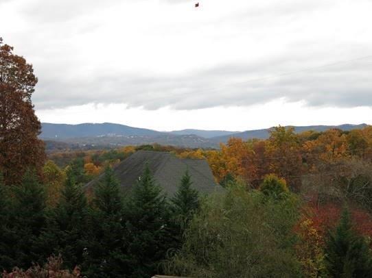 1230 Longview Road Roanoke, VA 24018 - Photo 45 of 51 53 Views Spectacular!!