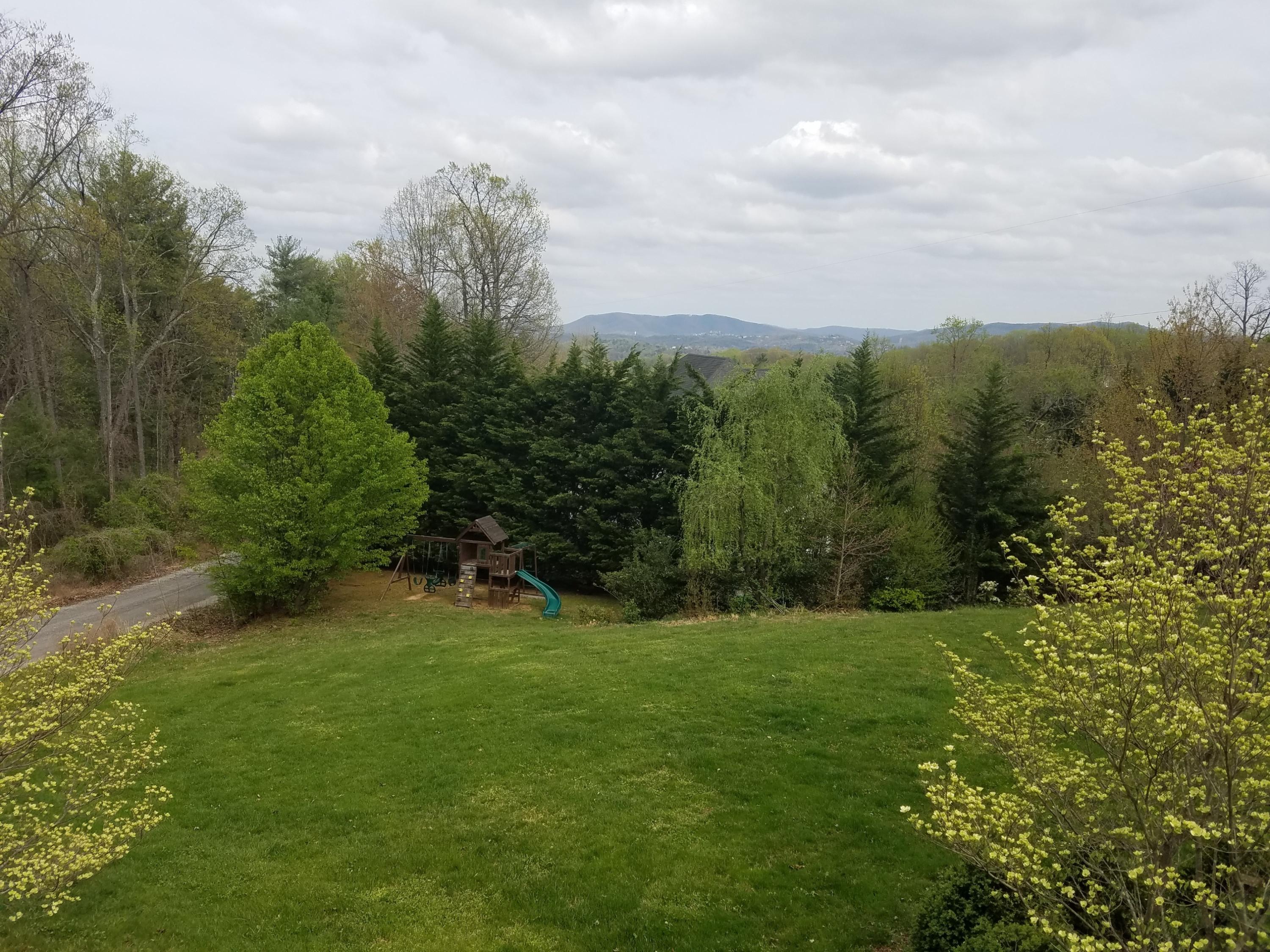 1230 Longview Road Roanoke, VA 24018 - Photo 47 of 51 Backyard
