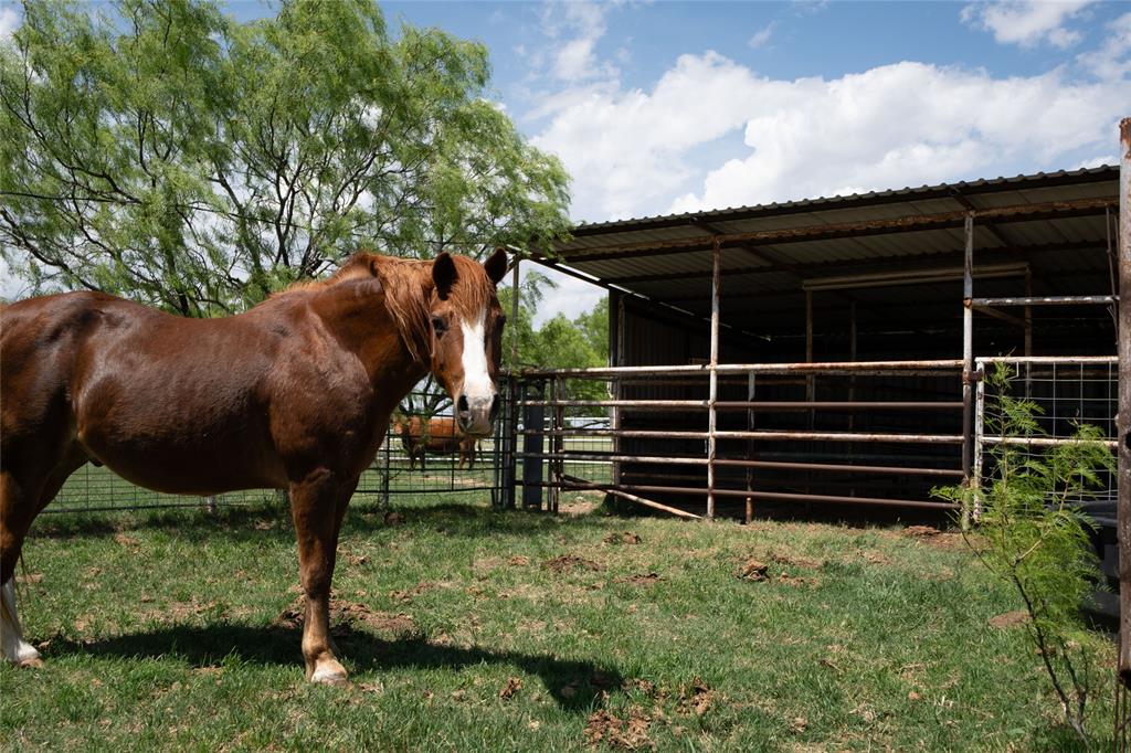 1416 Fm 2407 Rule, TX 79547 - Photo 28 of 40