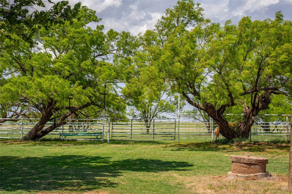 1416 Fm 2407 Rule, TX 79547 - Photo 30 of 40