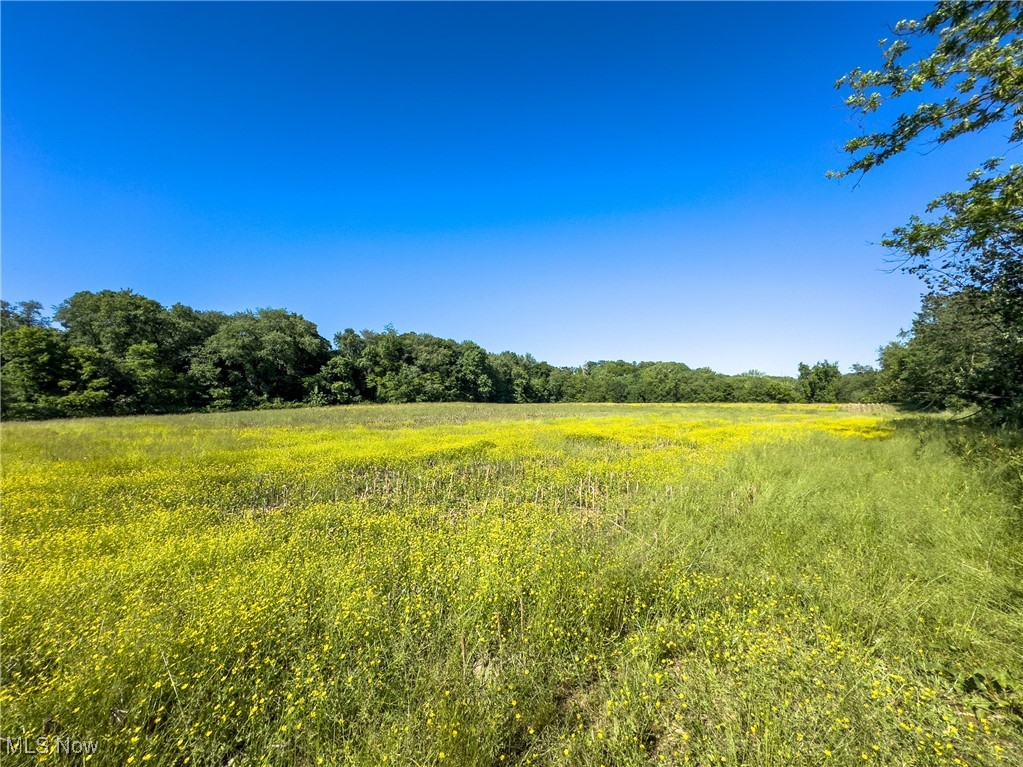0 Taylor Road Doylestown, OH 44230 - Photo 10 of 22 View of nature with a rural view and a view of trees