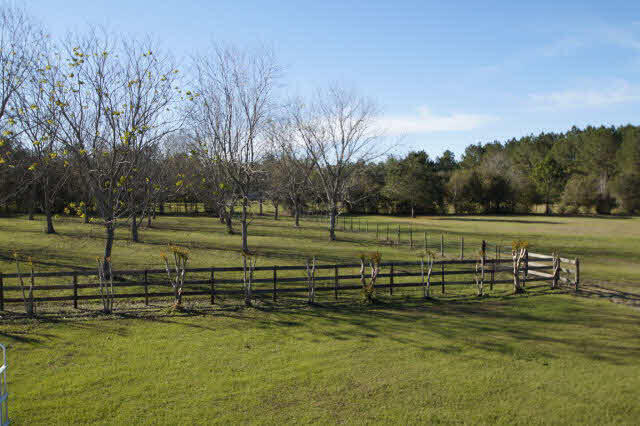 29370 Loper Road Loxley, AL 36551 - Photo 14 of 18