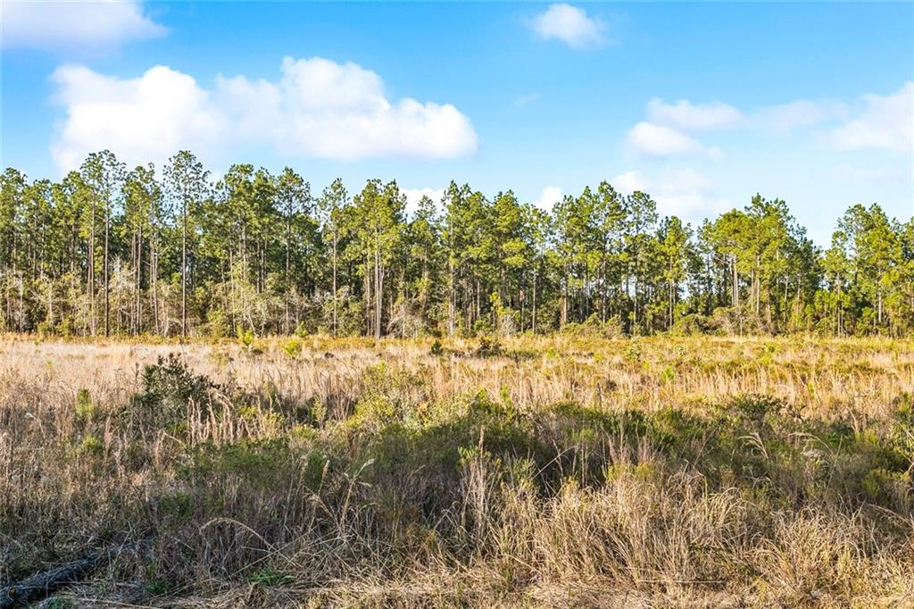 0 North Street Mandeville, LA 70471 - Photo 4 of 11