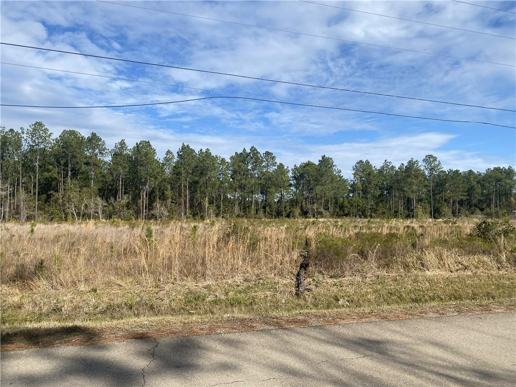 0 North Street Mandeville, LA 70471 - Photo 8 of 11