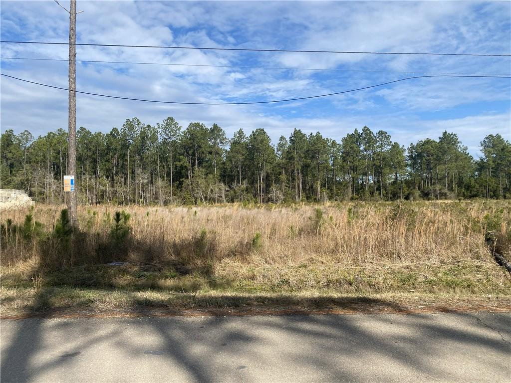 0 North Street Mandeville, LA 70471 - Photo 9 of 11