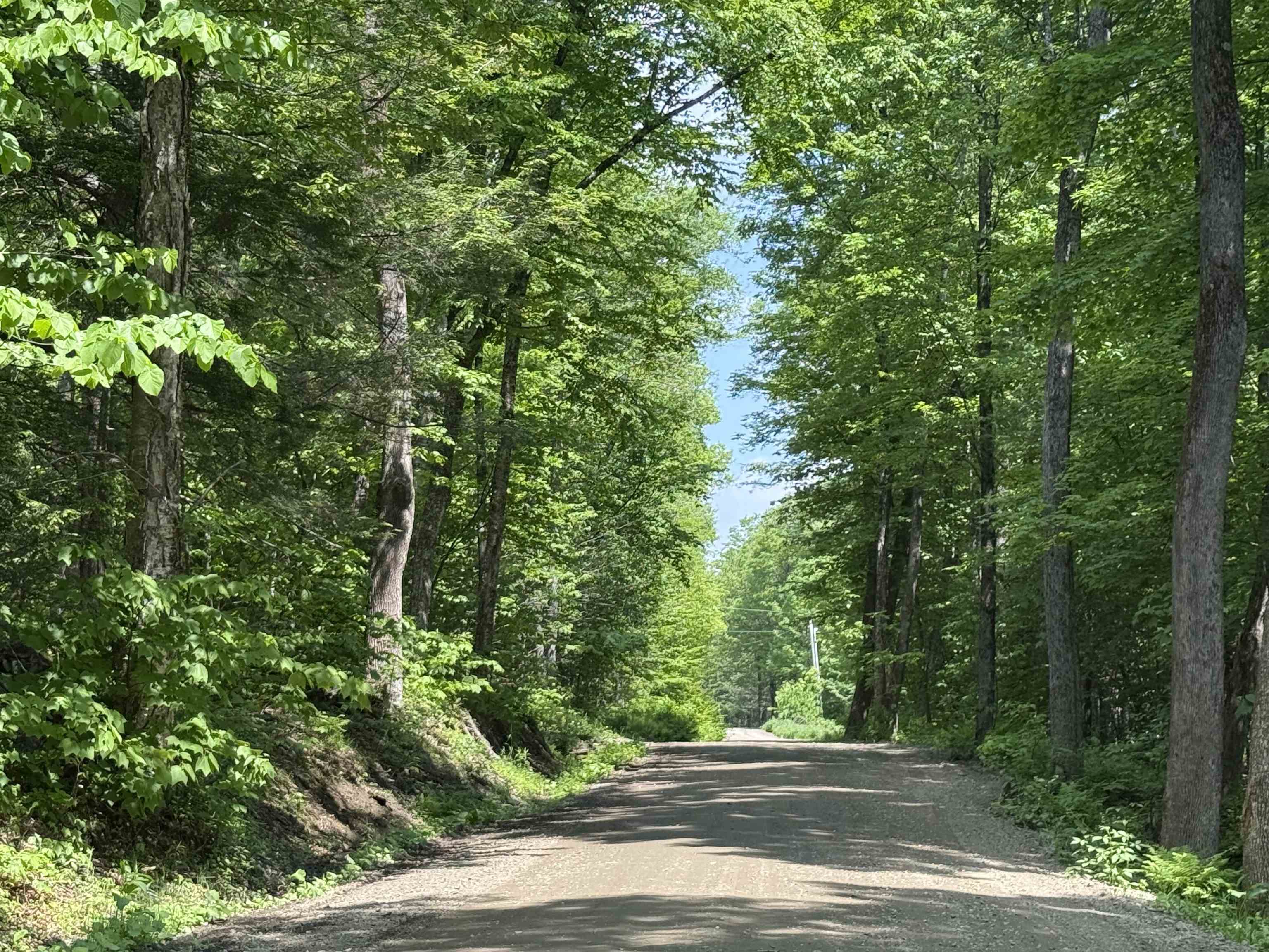 251 Phillips Hill Road Halifax, VT 05342 - Photo 1 of 30