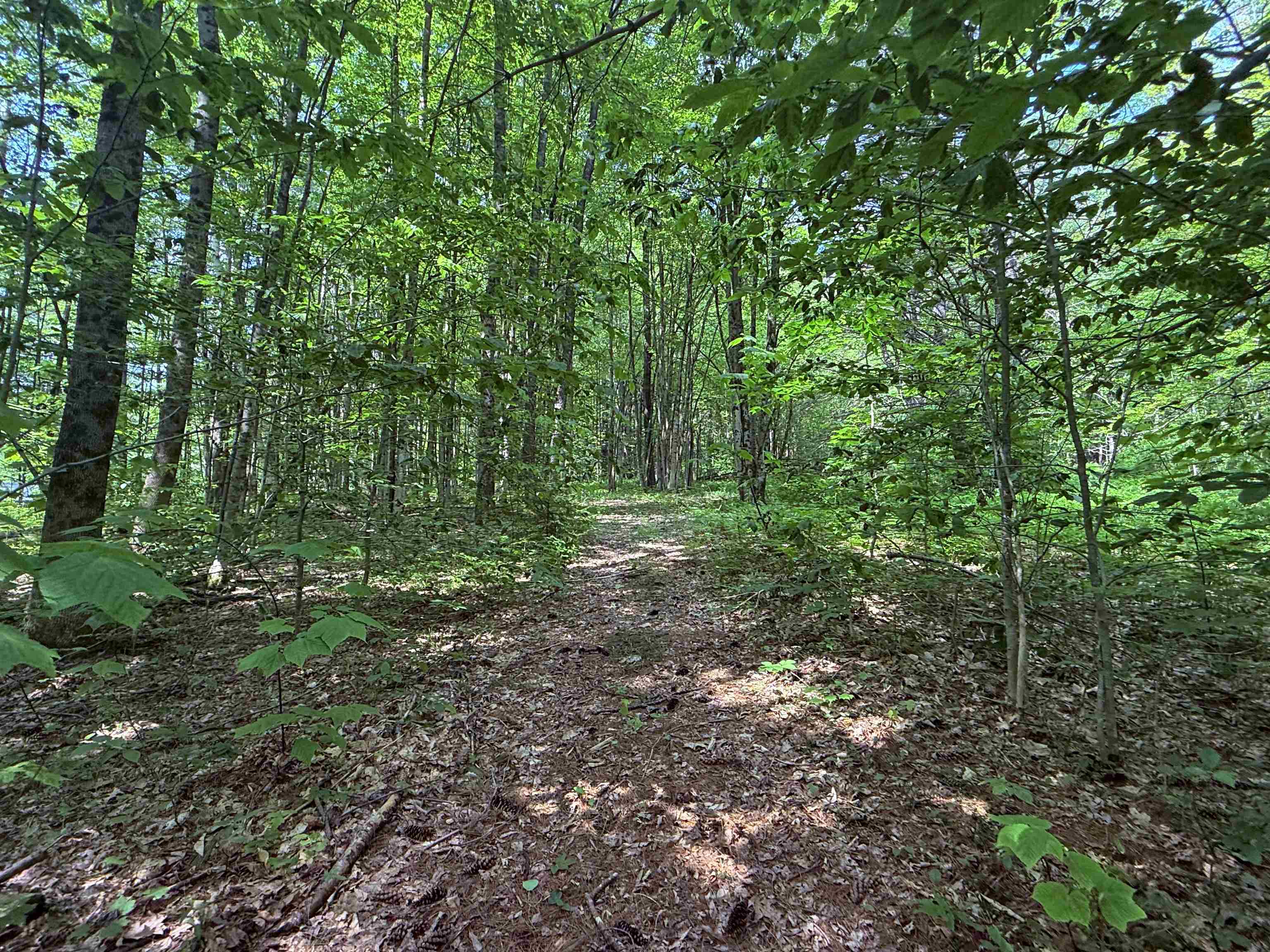 251 Phillips Hill Road Halifax, VT 05342 - Photo 14 of 30