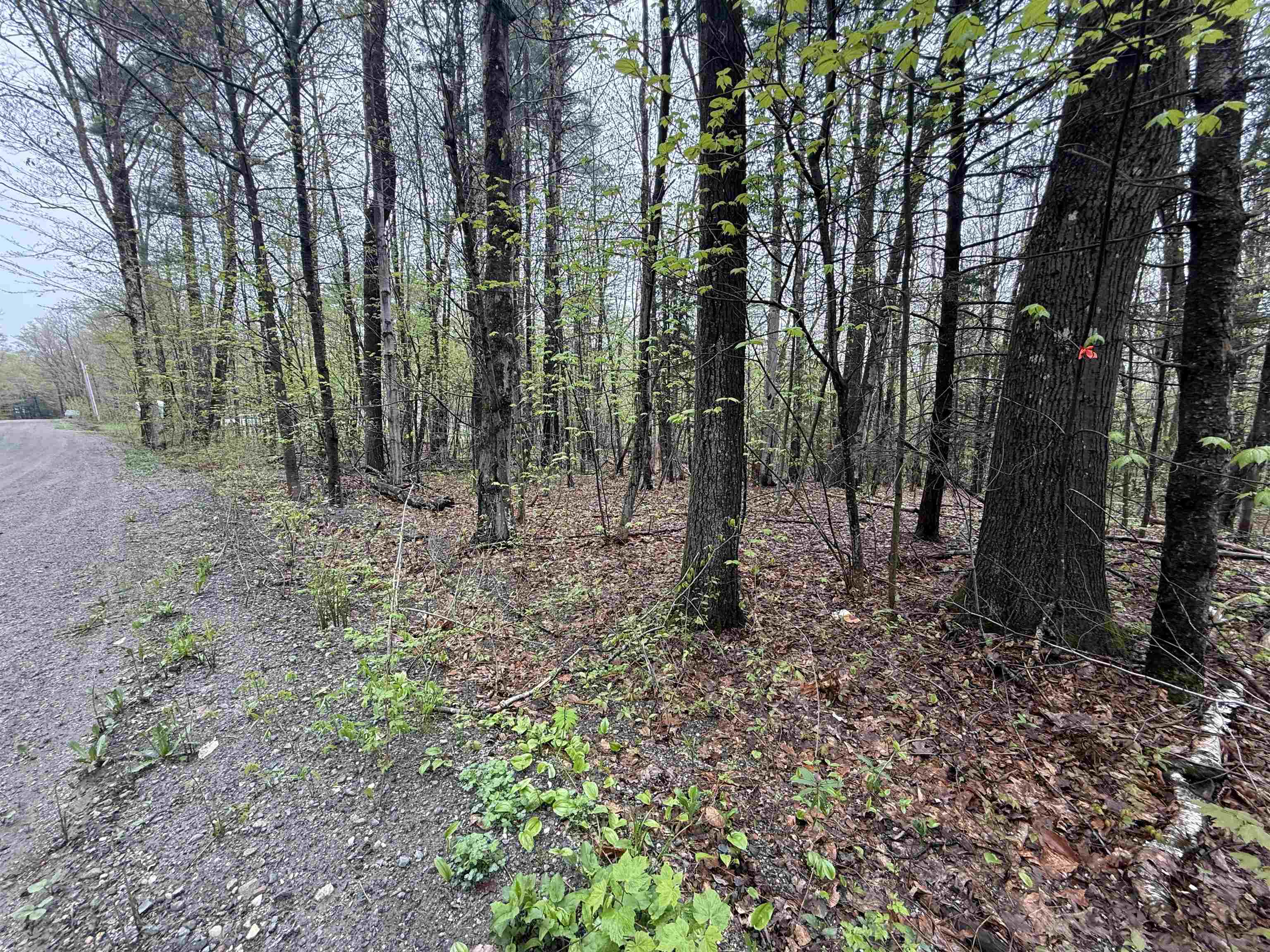 251 Phillips Hill Road Halifax, VT 05342 - Photo 15 of 30