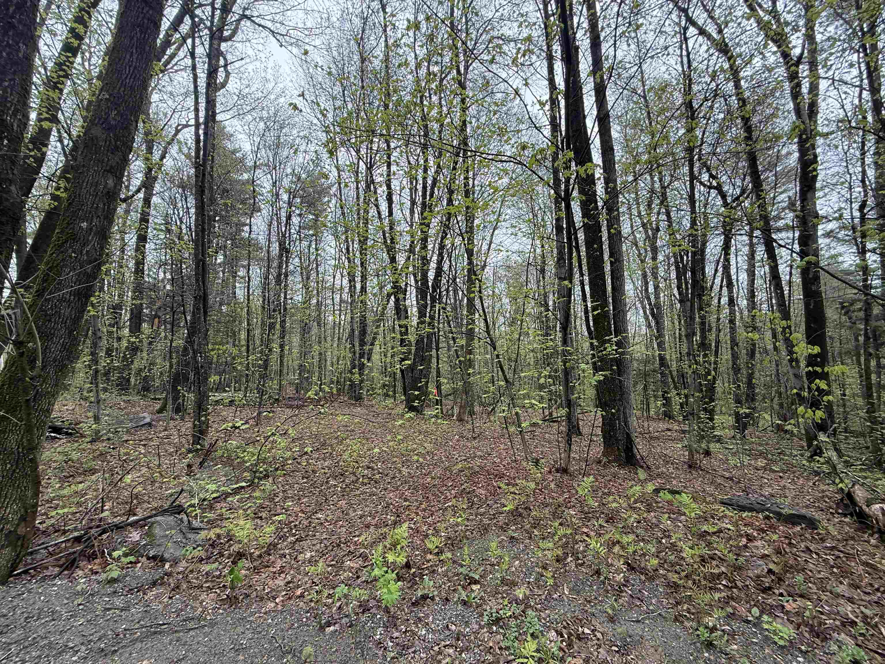 251 Phillips Hill Road Halifax, VT 05342 - Photo 17 of 30