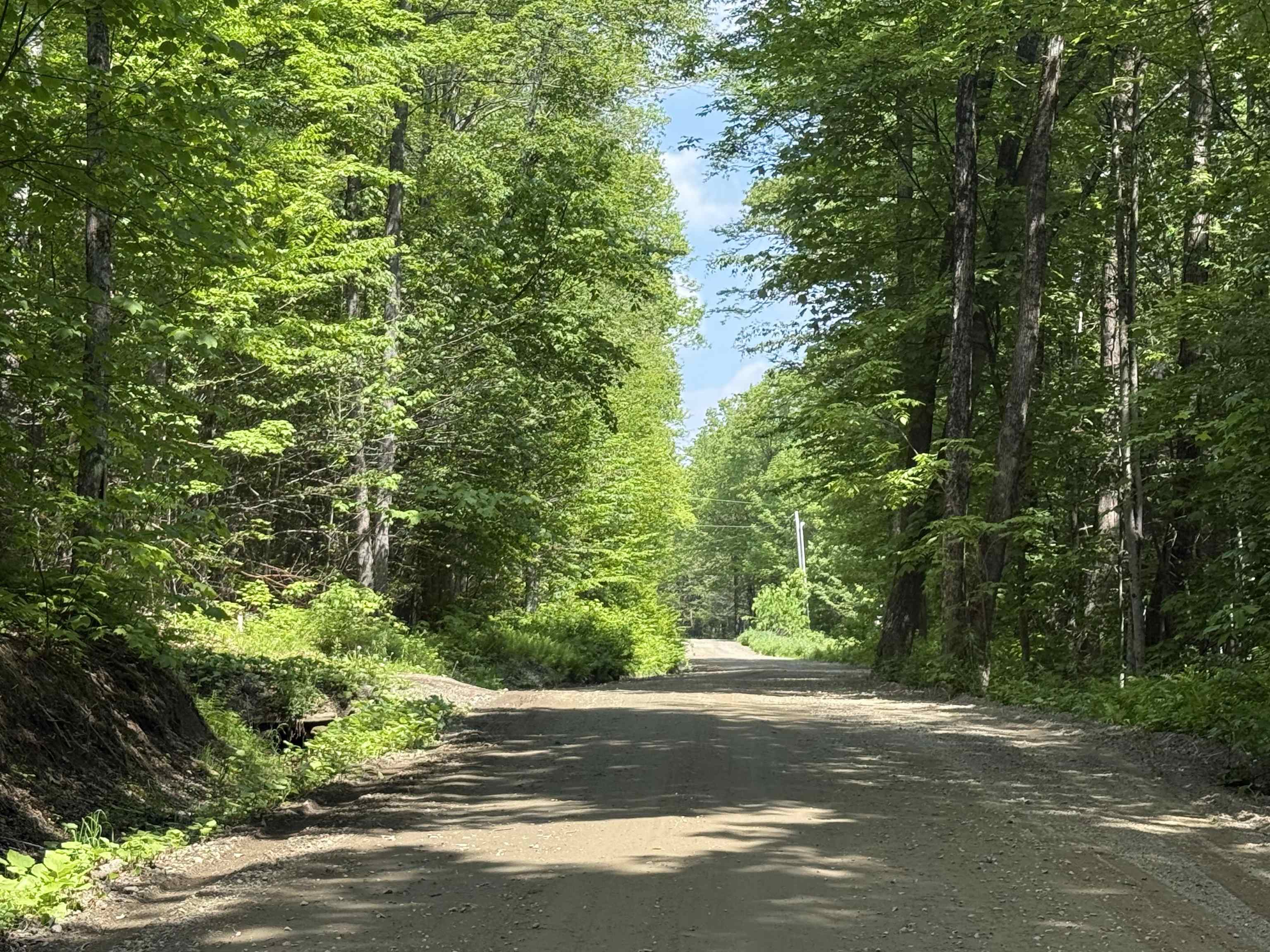 251 Phillips Hill Road Halifax, VT 05342 - Photo 18 of 30