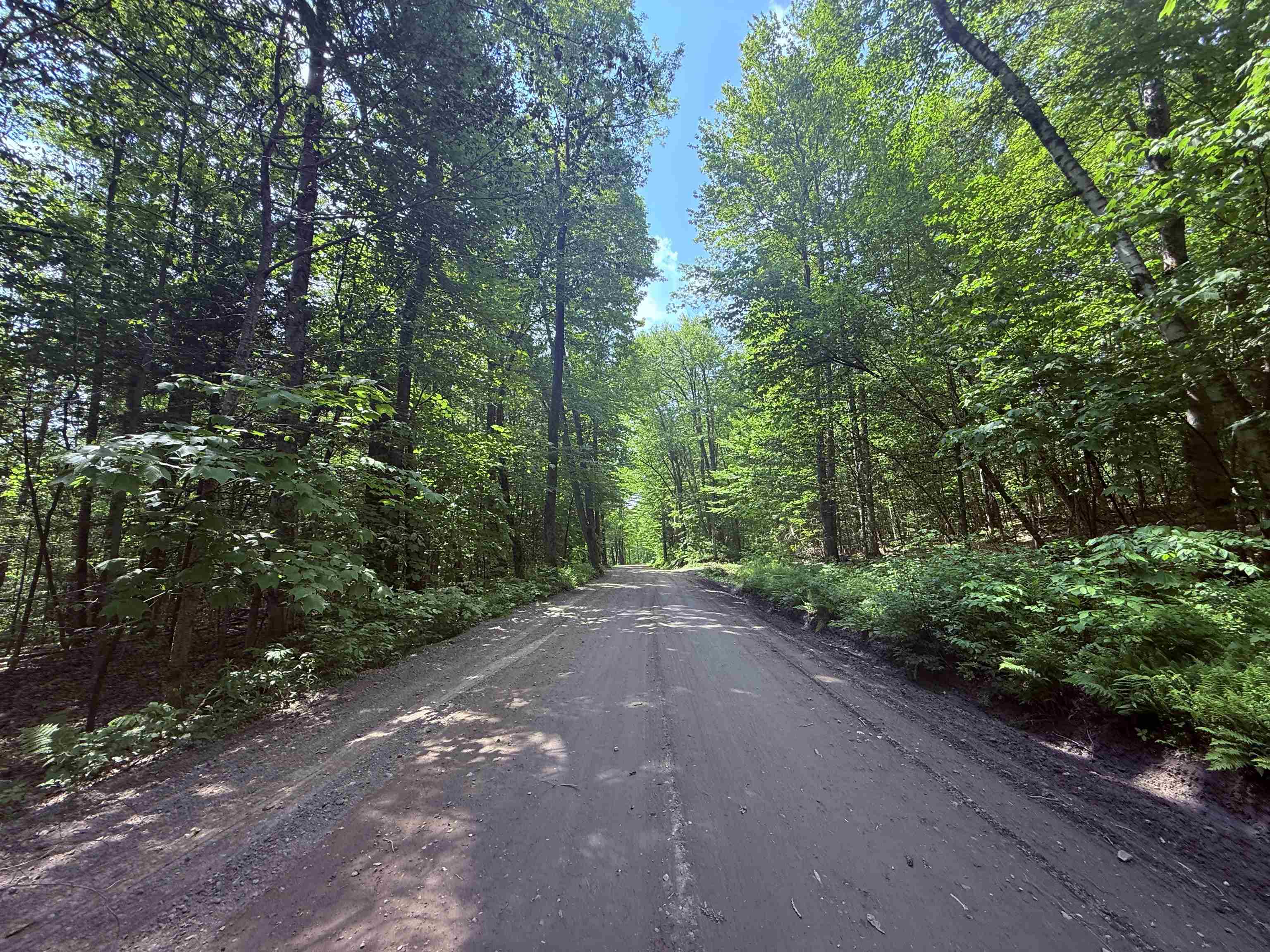 251 Phillips Hill Road Halifax, VT 05342 - Photo 19 of 30