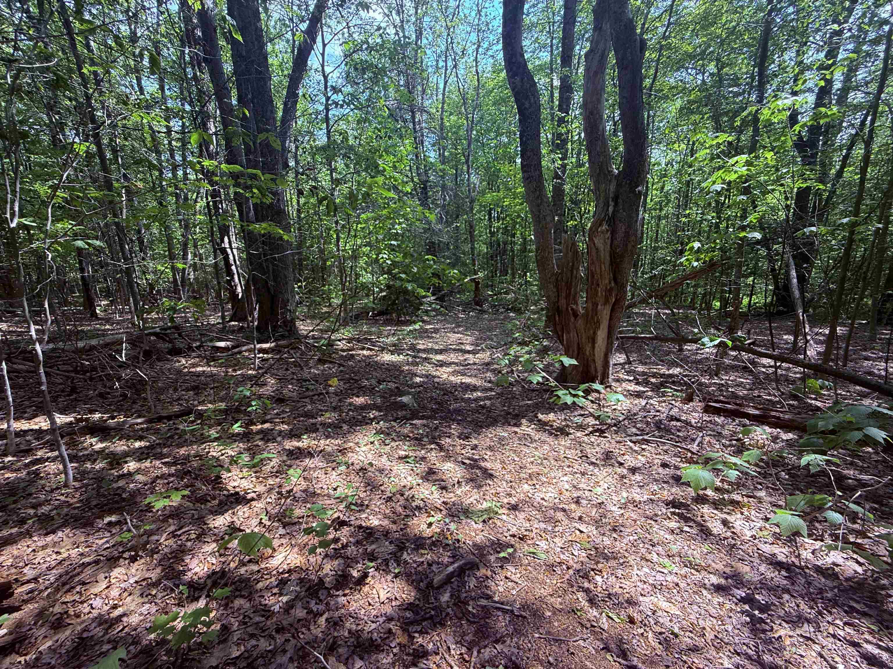 251 Phillips Hill Road Halifax, VT 05342 - Photo 20 of 30