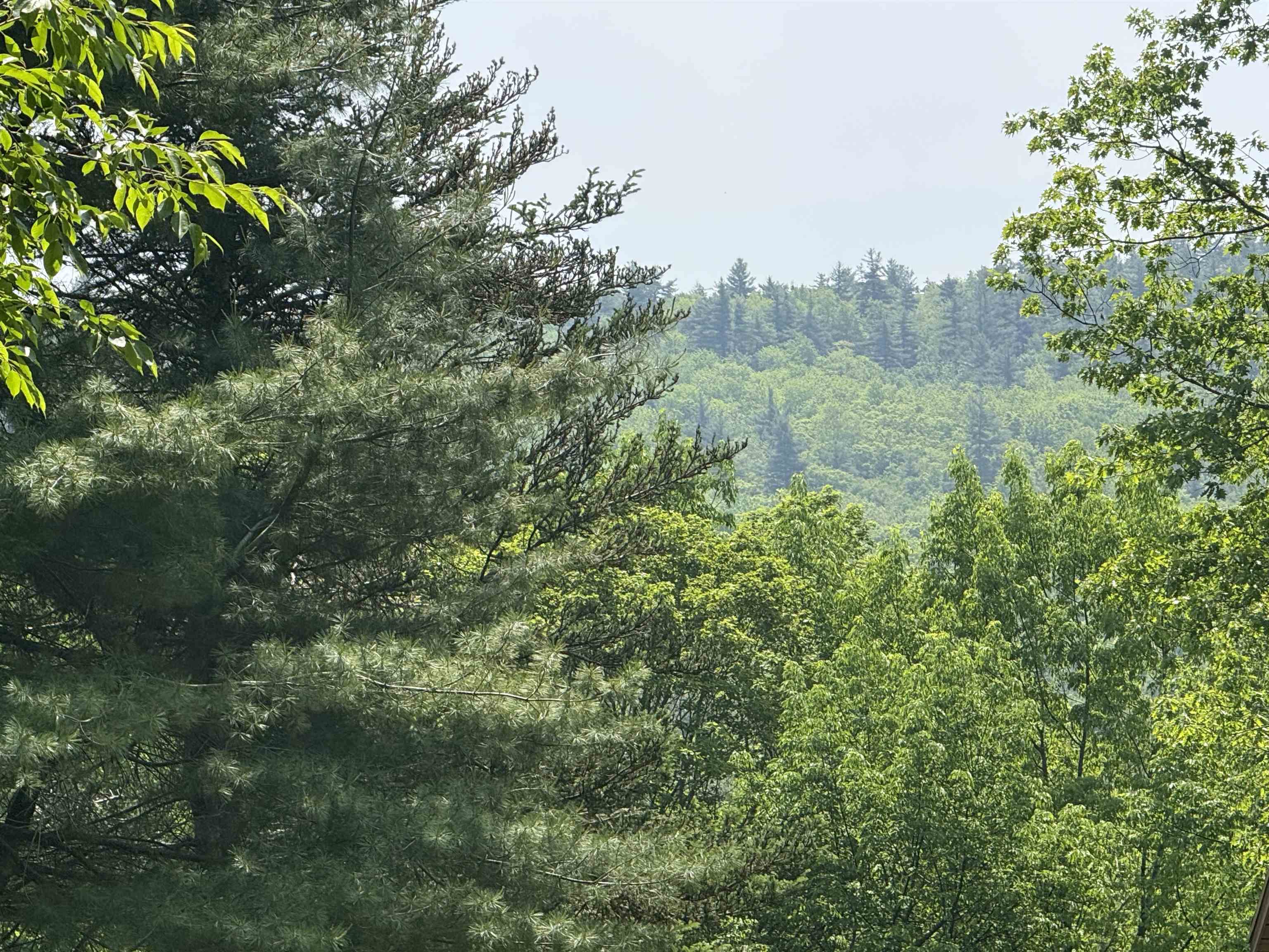 251 Phillips Hill Road Halifax, VT 05342 - Photo 2 of 30