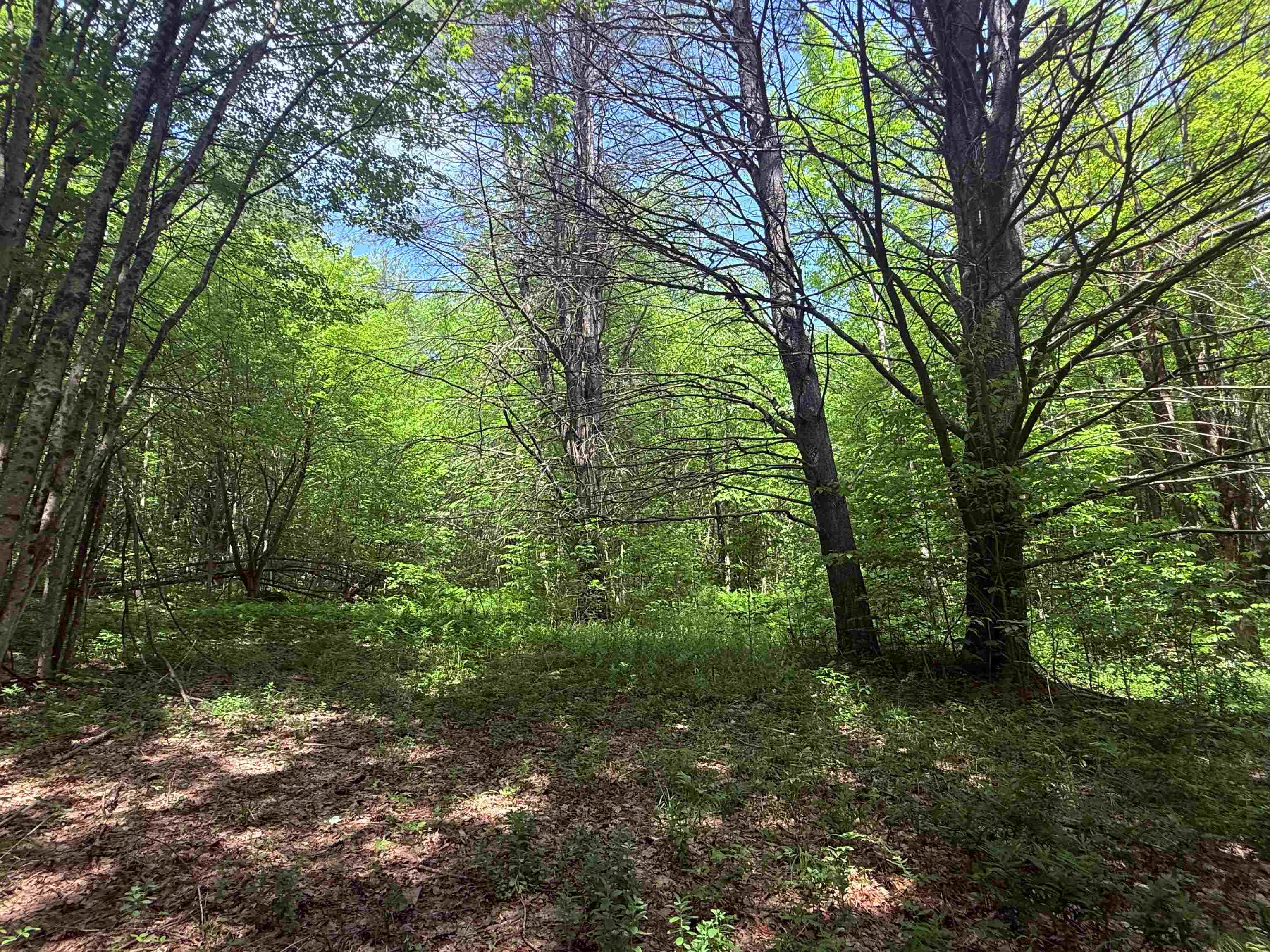 251 Phillips Hill Road Halifax, VT 05342 - Photo 22 of 30