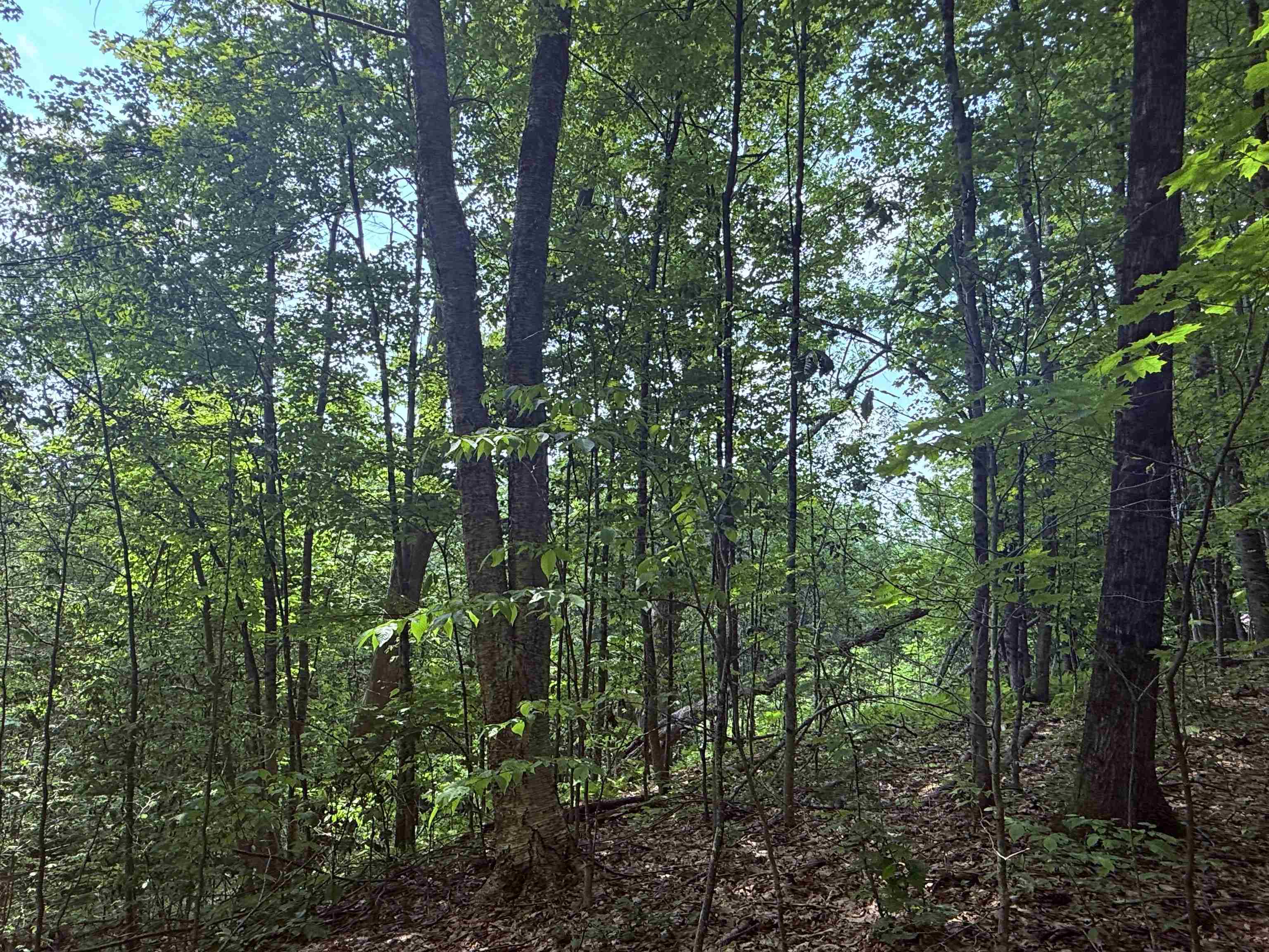 251 Phillips Hill Road Halifax, VT 05342 - Photo 23 of 30