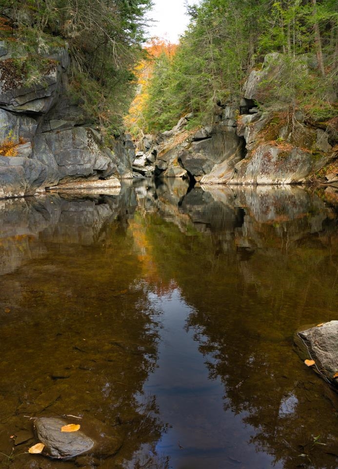 251 Phillips Hill Road Halifax, VT 05342 - Photo 29 of 30