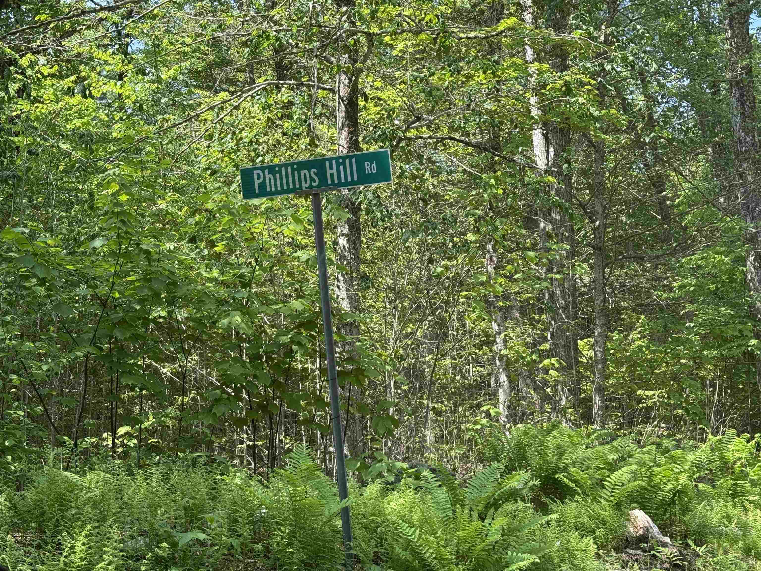 251 Phillips Hill Road Halifax, VT 05342 - Photo 3 of 30