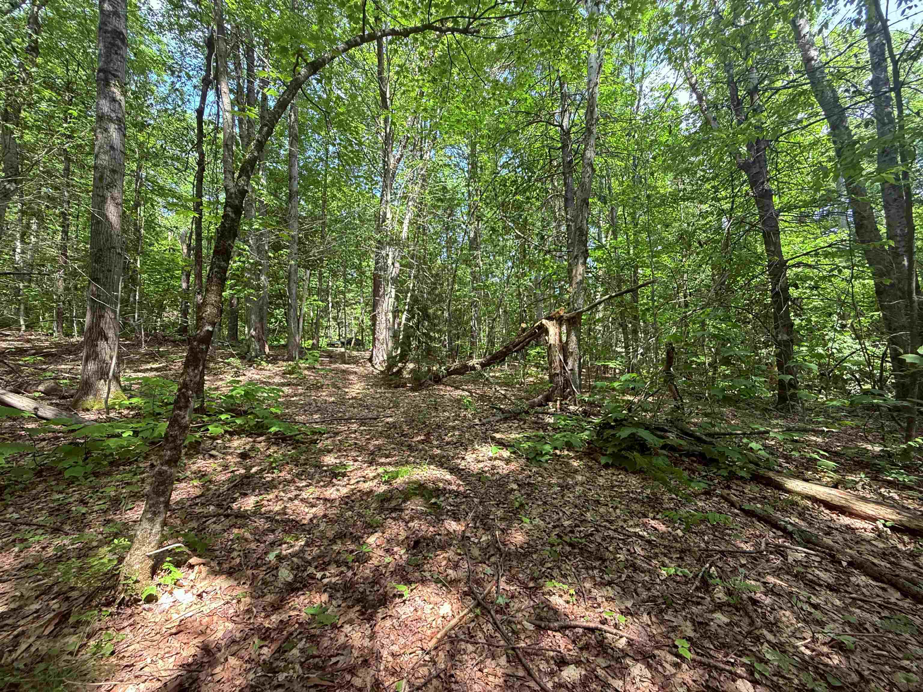 251 Phillips Hill Road Halifax, VT 05342 - Photo 4 of 30