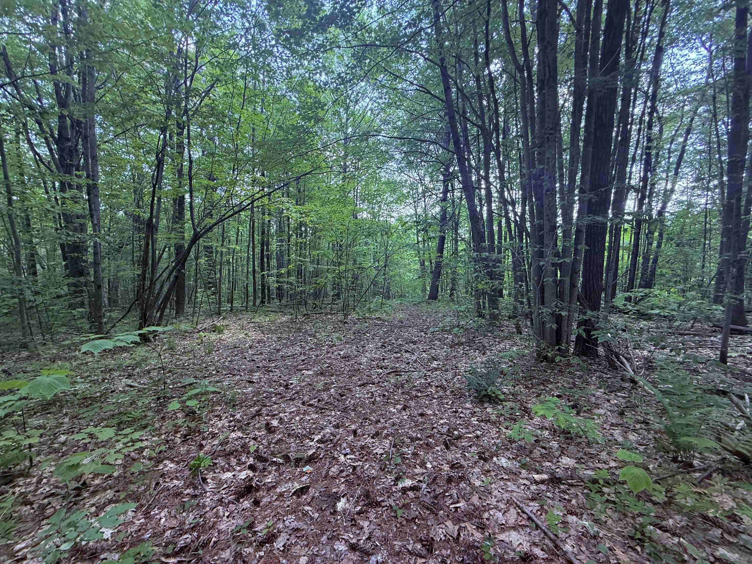 251 Phillips Hill Road Halifax, VT 05342 - Photo 7 of 30