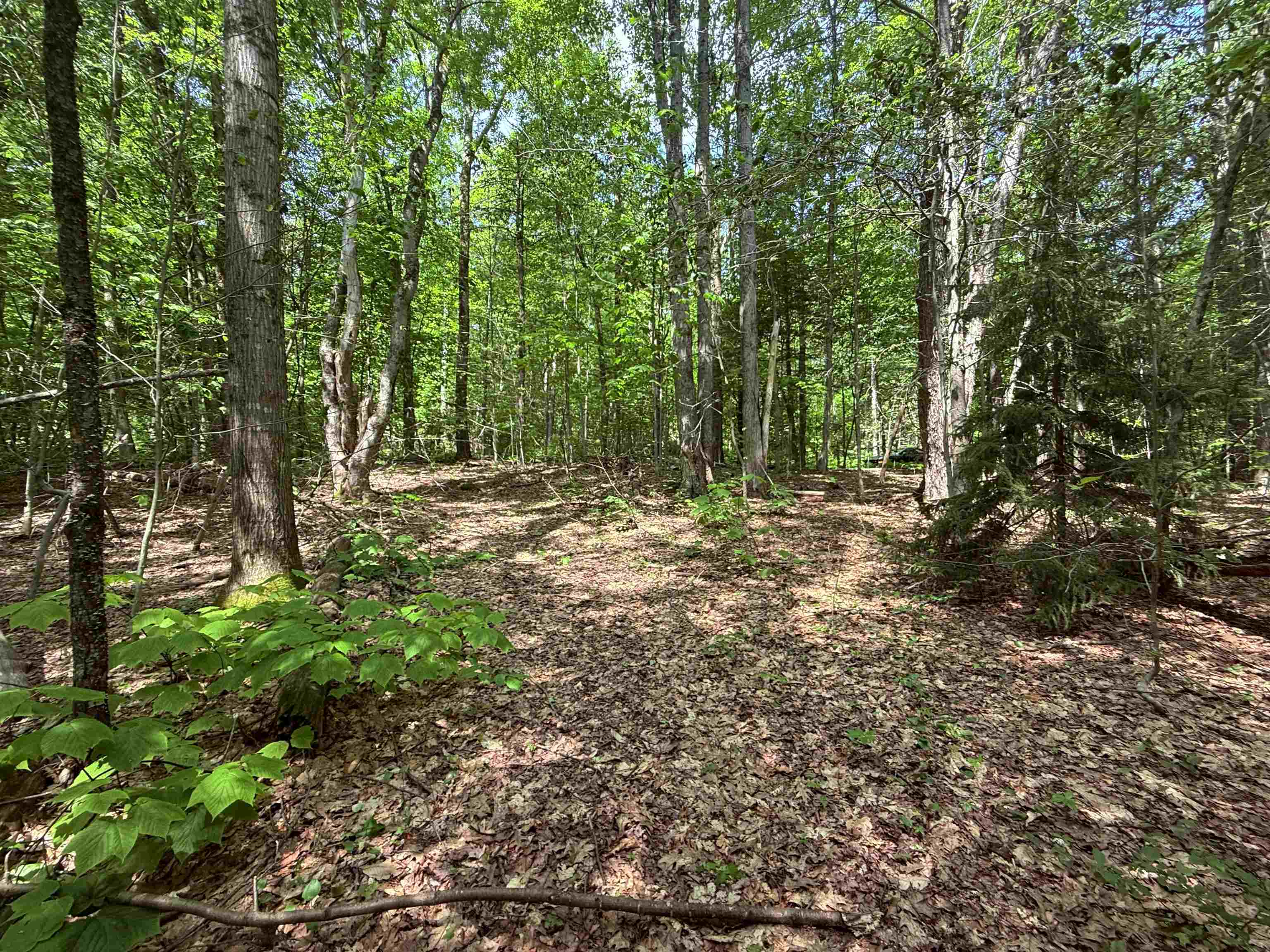 251 Phillips Hill Road Halifax, VT 05342 - Photo 8 of 30