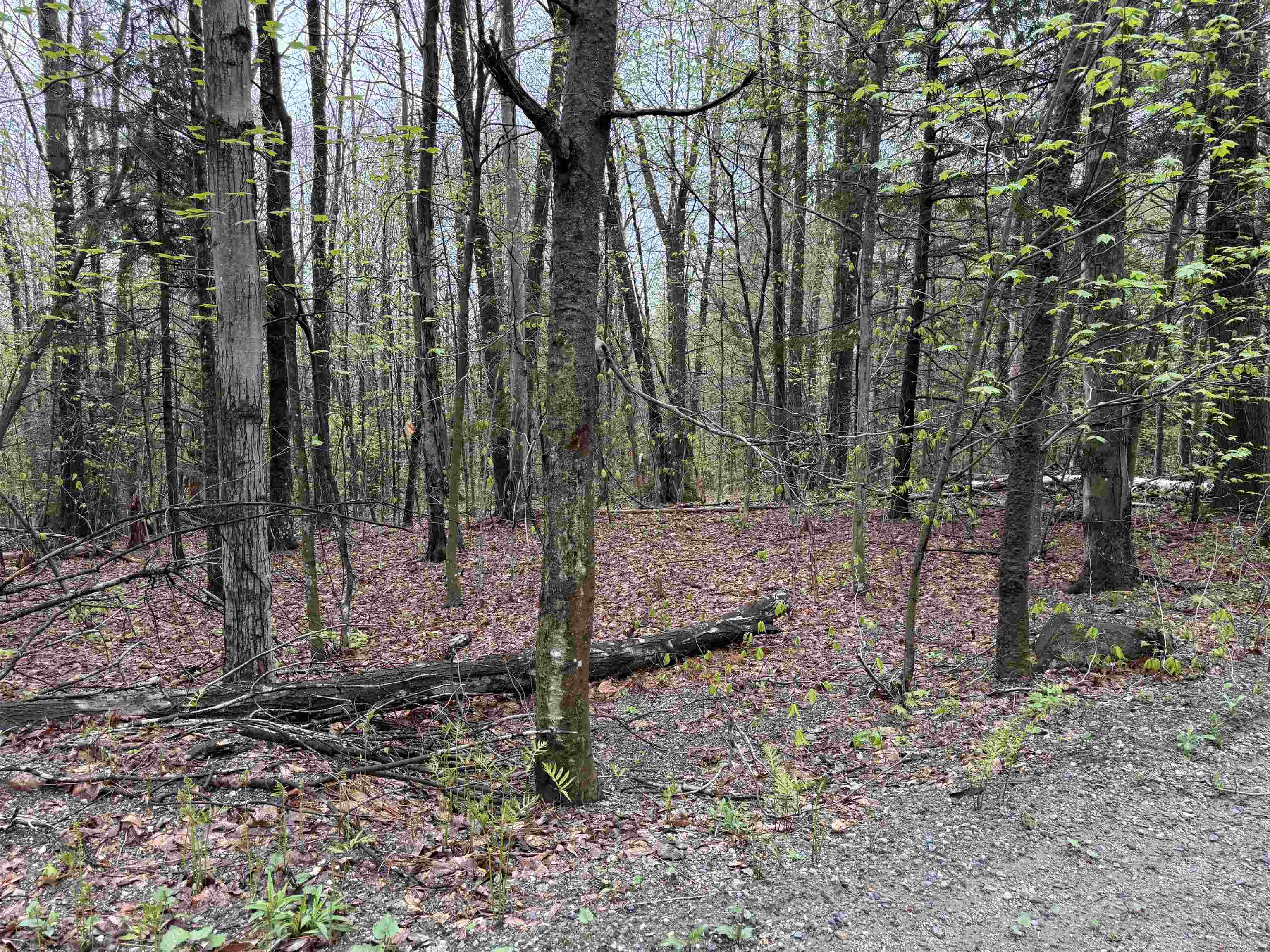 251 Phillips Hill Road Halifax, VT 05342 - Photo 9 of 30