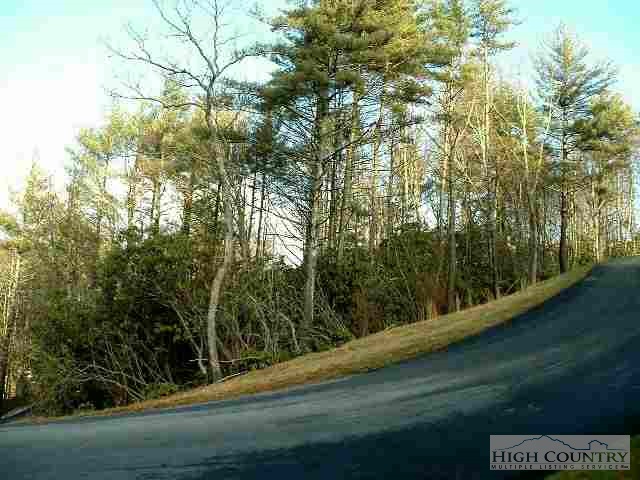 Lot 30 Russelton Road Boone, NC 28607 - Photo 1 of 1 a view of mountain view from a window