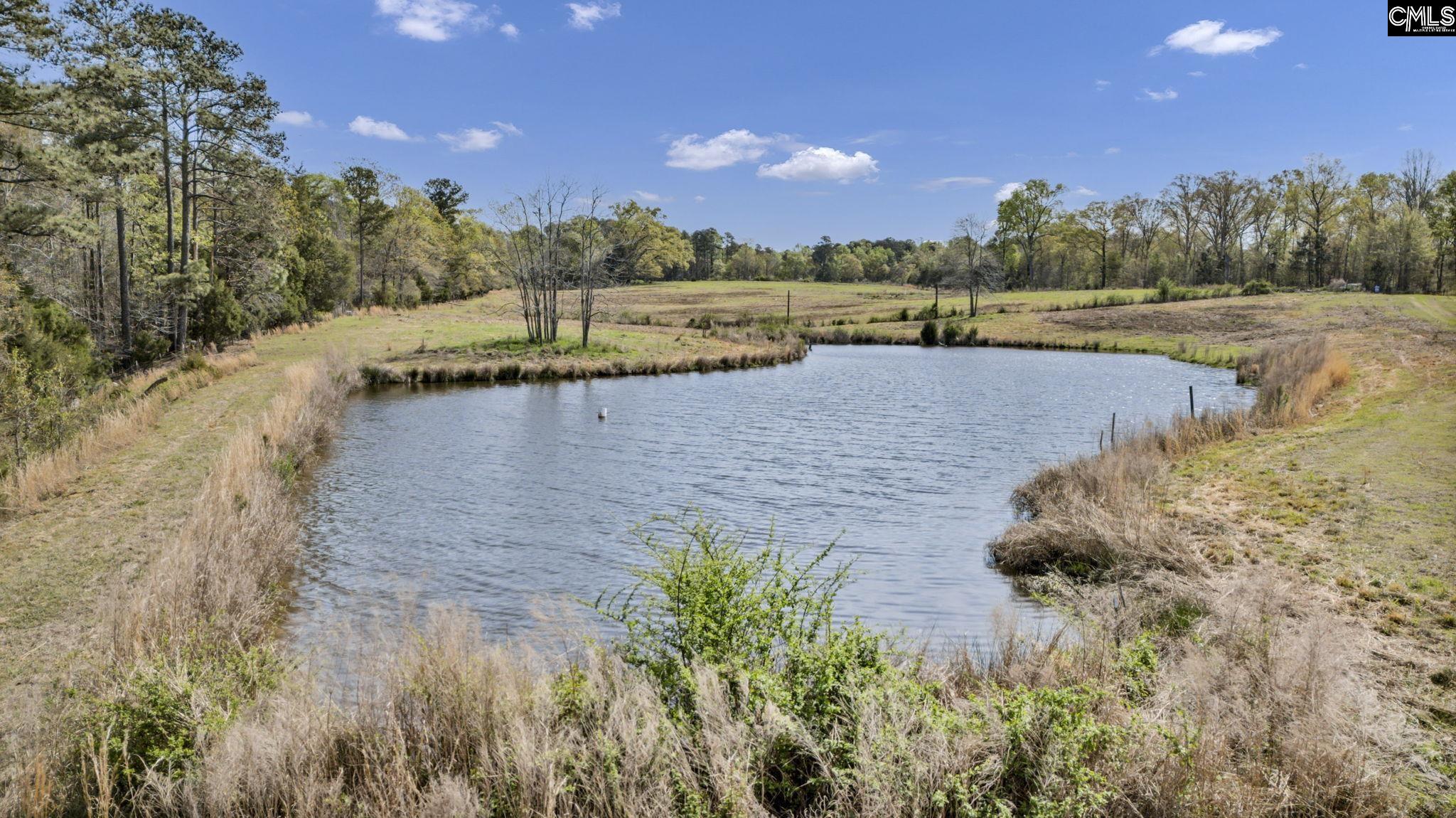 421-0 Shore Road Gilbert, SC 29054 - Photo 7 of 57