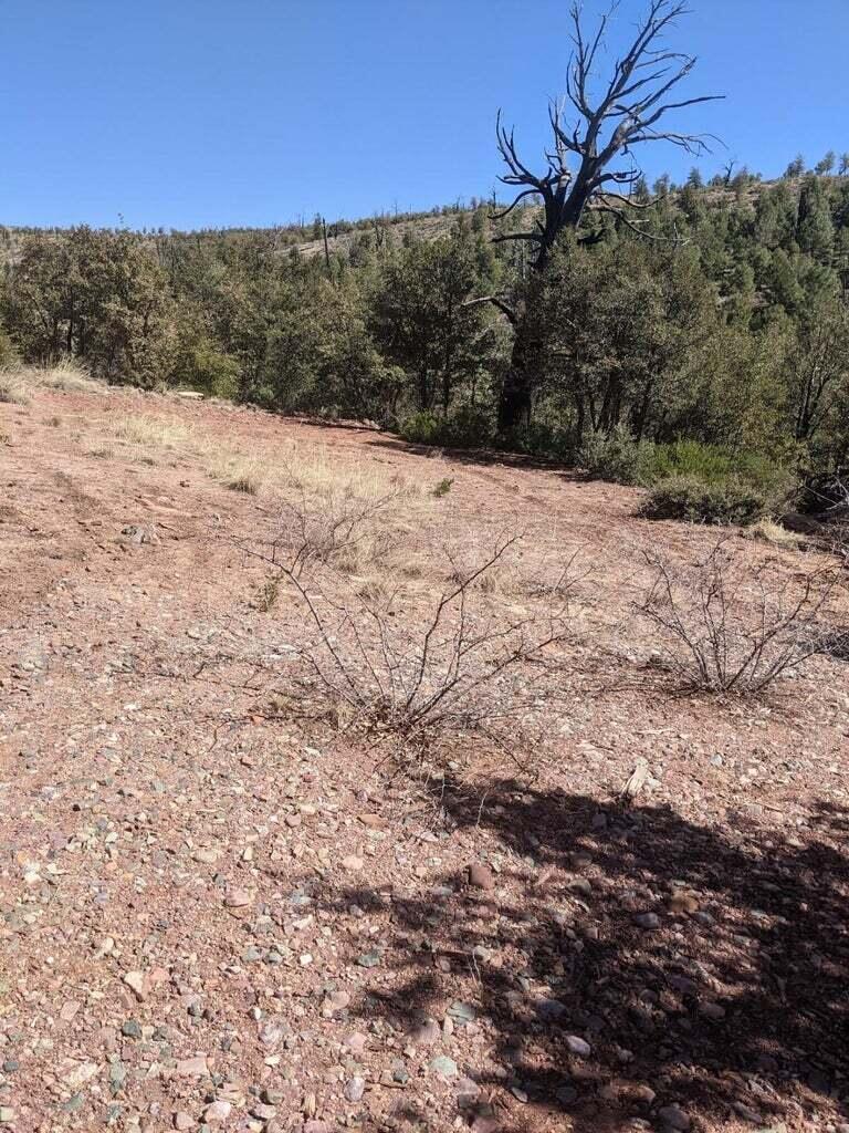 41-42 Antelope Trail Road Payson, AZ 85541 - Photo 10 of 19