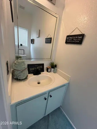 a bathroom with a sink and a mirror