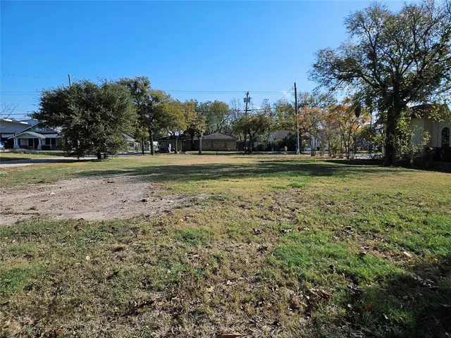 a view of a forest with trees