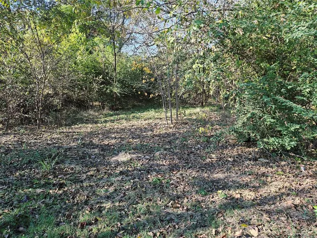 a view of a yard with a tree