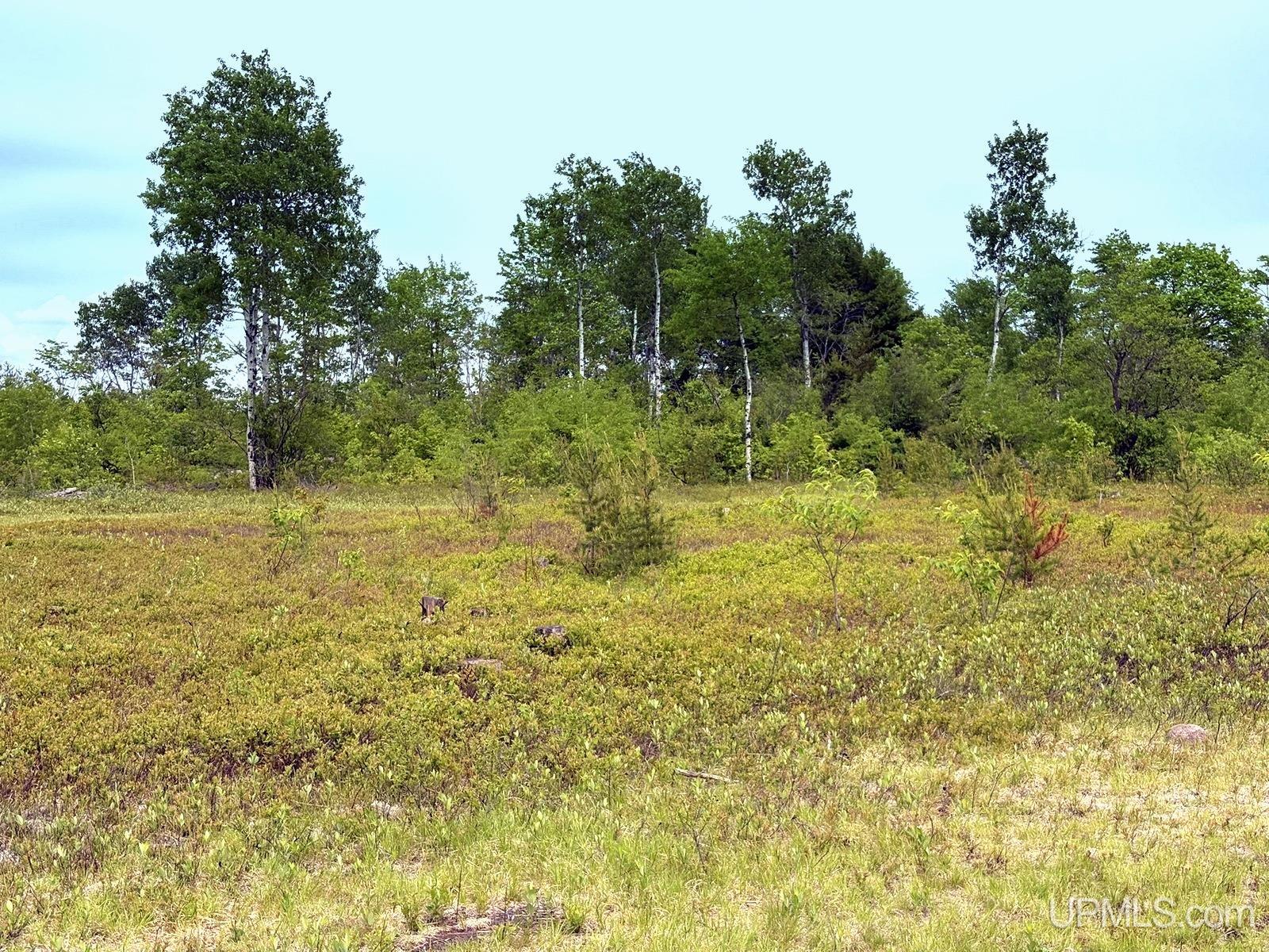 Tbd Tbd Co Road Gwinn, MI 49841 - Photo 11 of 58