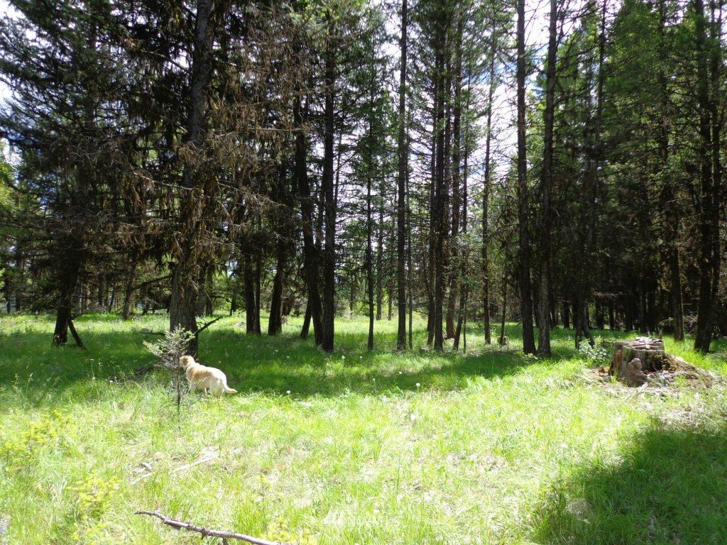 4 Turner Lake Road Tonasket, WA 98855 - Photo 14 of 18