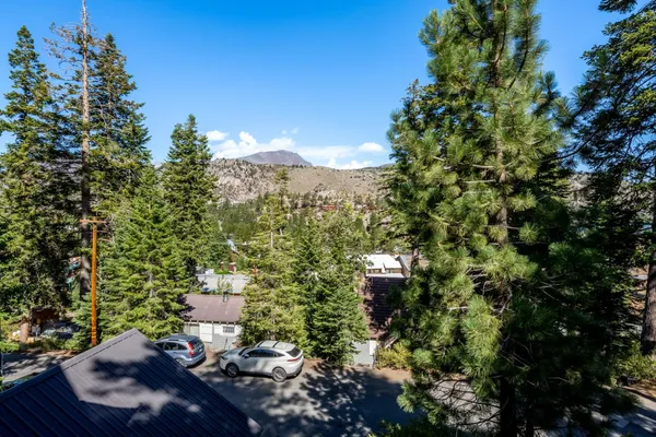 a view of a city with lush green forest