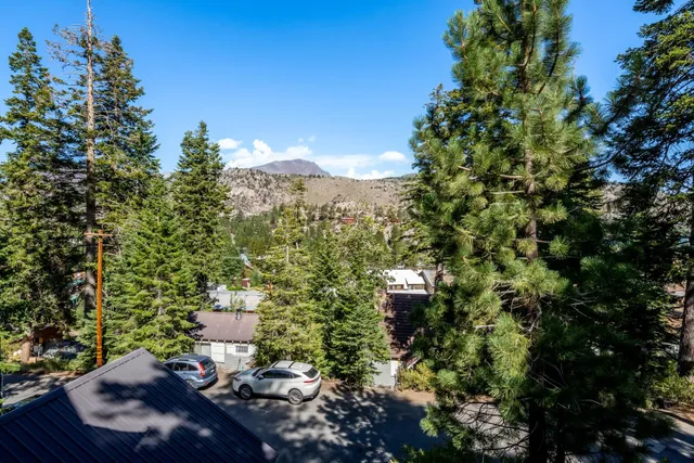 a view of a city with lush green forest